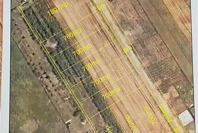 Teren Construcții intravilan de 8000 mp, în Biharia - 6