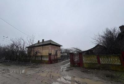 Casă cu Teren 2500 Mp în Central - 2