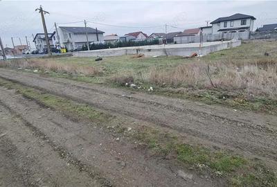 Casă cu Teren 722 Mp în Livada - 12