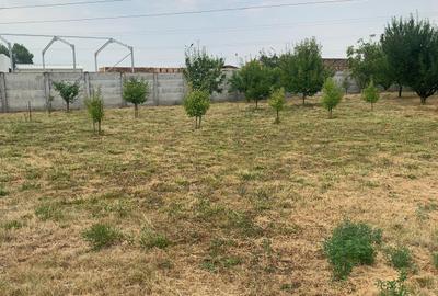 Teren Construcții intravilan de 1700 mp, în Ștefăneștii de Sus