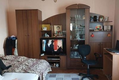 Doua case individuale cu teren total de 2753 mp in Dambul Rotund - 5