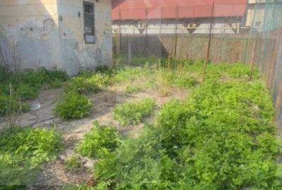 Casă cu 3 camere cu Teren 450 Mp în Central - 4
