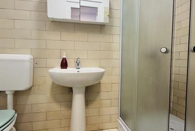 Apartament cu 2 camere nedecomandat, mobilat în Lipovei - 13