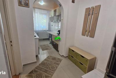 Apartament cu 2 camere semidecomandat în Șelimbăr - 7
