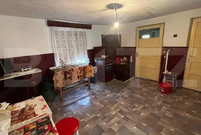Casă cu Teren 3345 Mp în Central - 6