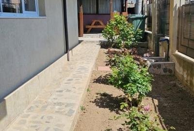 Apartament cu 3 camere decomandat, mobilat în Camil Ressu - 14