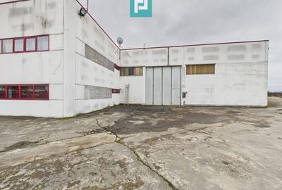 Hală de producție, cu birouri și teren, în Sebiș - 50