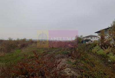 Teren agricol extravilan de 5000 mp, în Corbeanca - 6