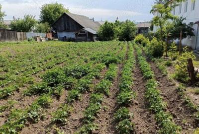 Proprietate in centrul Mihaileniului, 65 OOO euro, negociabil - 1