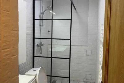 Garsonieră decomandată, mobilată în Nerva Traian - 3