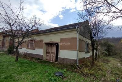 Bogodint, Casa 440mp cu 4 Hectare Teren, Pret Negociabil - 16