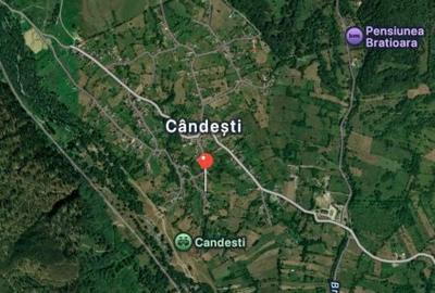 Casă cu 2 camere cu Teren 6605 Mp în Albești - 13