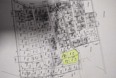 Spațiu comercial, în Vișan - 2