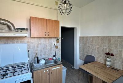 Apartament cu 2 camere decomandat în Ghiroda - 13