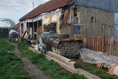 Casă cu 2 camere cu Teren 4200 Mp în Bogei - 2