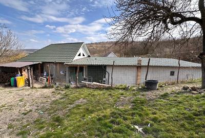 Casă cu 4 camere cu Teren 1900 Mp în Chiochiș - 15