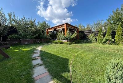 VILĂ CU 5 CAMERE - 150 MP UTILI - BECI, GARAJ, 717 MP TEREN, VIȘAN-BUCIUM - 27