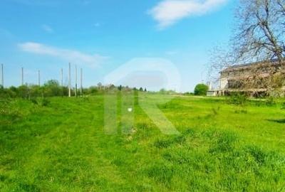 Teren Construcții intravilan de 10000 mp, în Grădiștea - 14