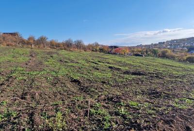 Spațiu comercial, în Central - 2