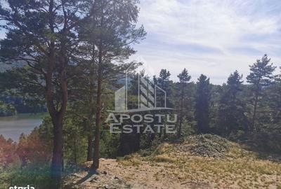 Spațiu comercial, în Central - 10