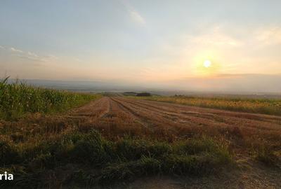 Spațiu comercial, în Giulești - 3