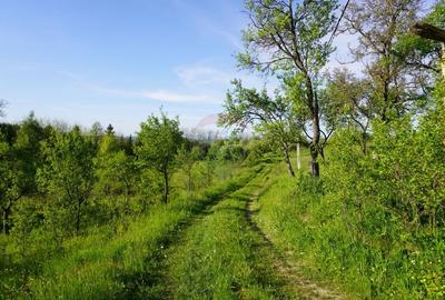 Teren Construcții intravilan de 38592 mp, în Sud-Vest - 15