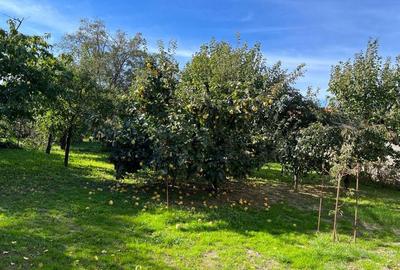 Casă cu 4 camere în Central - 3