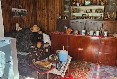 Casa batraneasca din lemn - 2