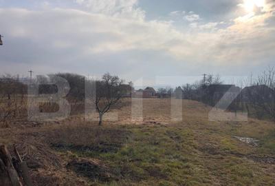 Casa de vanzare, cu 7 camere, 350 mp u & 2850 mp teren - 2