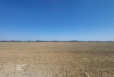 Teren agricol extravilan de 11600 mp, în Moșnița Nouă - 3