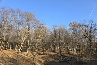 Teren cu sufrafata de 1100 mp in Padurea Faget - 2