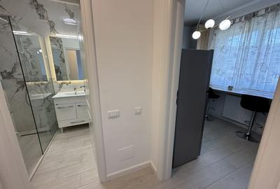 Premium Studio - Grozavesti - Regie Residence Faza 2 - 3