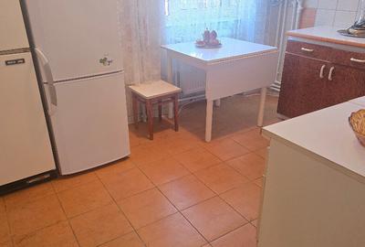Inchiriez apartament 2 camere in Deva, zona I. Maniu, Magnoliei - 9