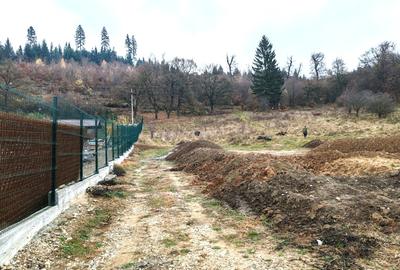 Teren intravilan - Cristian - 3