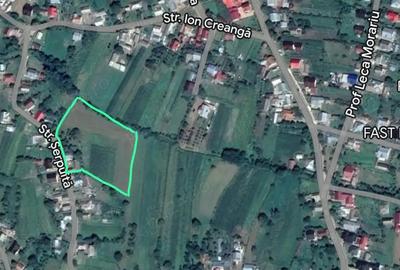 Teren de 7800 mp, în Pătrăuți - 5
