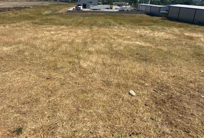 Teren intravilan Auchan Bradu - 2