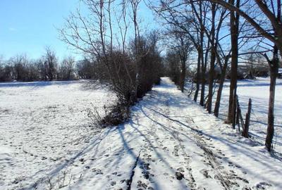 Spațiu comercial, în Central - 4