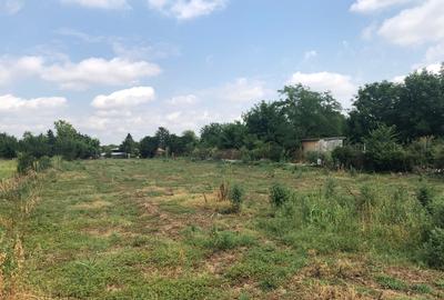 Silistea Snagovului, teren intravilan - 6