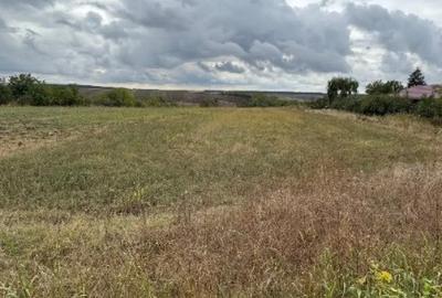 Teren în Vlad Țepeș - 12