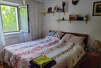 Apartament 2 camere, Etaj 2, cu garaj, in Baia Mare, bulevardul Regele Ferdinand, zona cabinet medic - 7