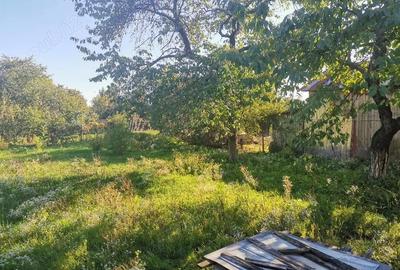 Casă cu 5 camere cu Teren 1300 Mp în Central - 8