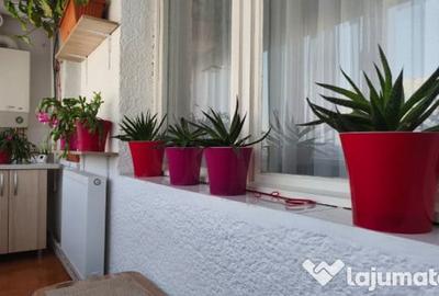 Apartament cu 3 camere decomandat în Ultracentral - 5