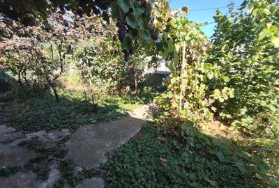 Casă Tradițională cu Teren Generos în Valu lui Traian - 9