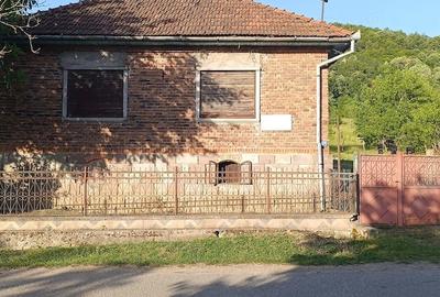 Casă cu 4 camere cu Teren 7400 Mp în Aciuța - 1