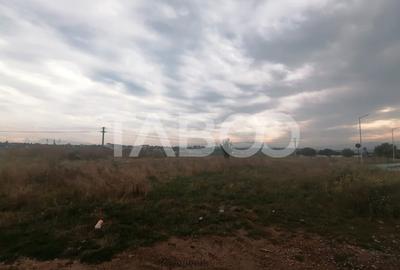 Teren de vanzare intravilan 3421 mp cu deschidere de 180 m Turnisor - 4