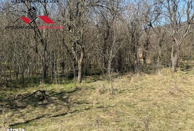 Casă cu 4 camere în Pârău lui Mihai - 17