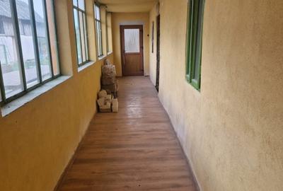 Becicherecu Mic, Timis - 6