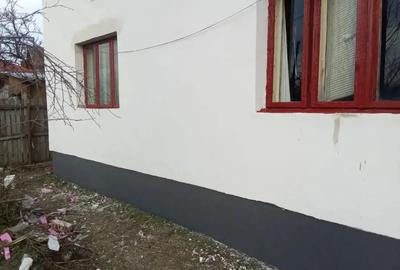 Vand casa la tara - 4