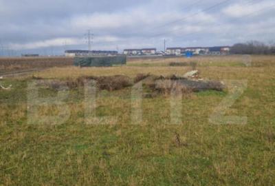 Teren intravilan Sanpetru - ideal c-tie casa- 500 mp - 6