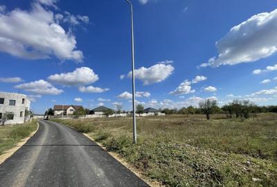 Domne?ti, Str Teiului, 515mp, intravilan, utilita?i, 29ml - 13